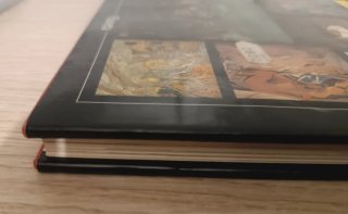Historia gráfica de la pintura
