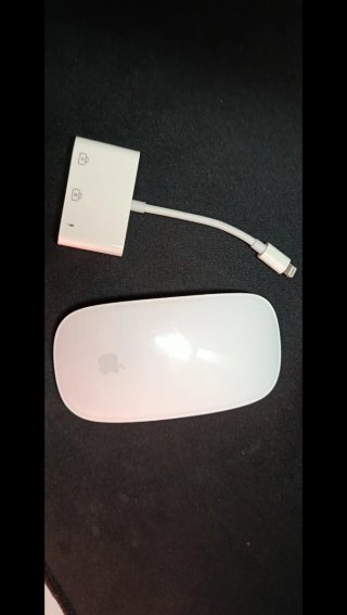 Ratón Apple y Adaptador Lightning
