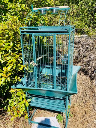 Jaula loros Psittacidae económica