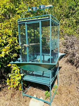 Jaula loros Psittacidae económica