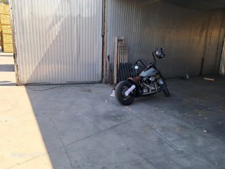 Harley Davidson Cruiser Negra/Gris