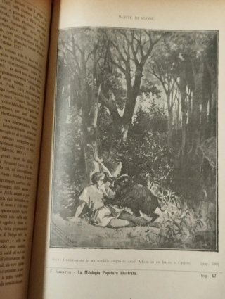 La Mitologia Popolare Illustrata - 1896