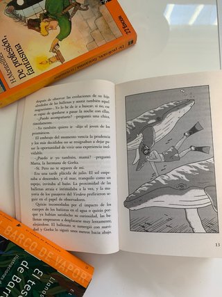 El niño que jugaba con ballenas