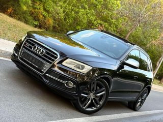 Audi SQ5 2014
