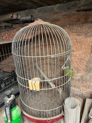 Jaula para loro