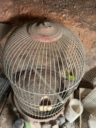 Jaula para loro