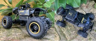Coche todoterreno Radio Control