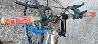 Bicicleta de montaña plateada