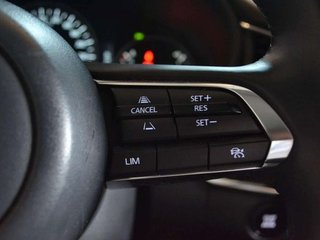 Mazda CX-30 2.5L e-SKYACTIV G MHEV 103kW (140CV)
