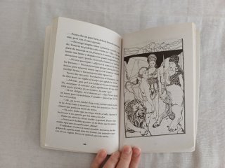 Lote de Novelas Juveniles.