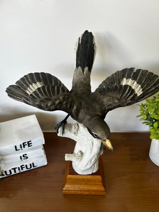 Figura Porcelana Alcaudón Real Algora