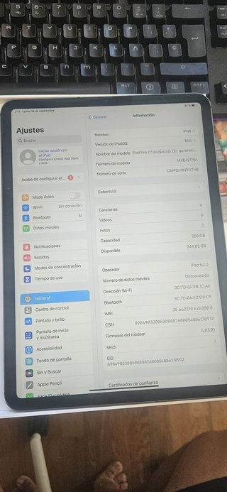 iPad Pro 11 2a Gen 256GB Cellular