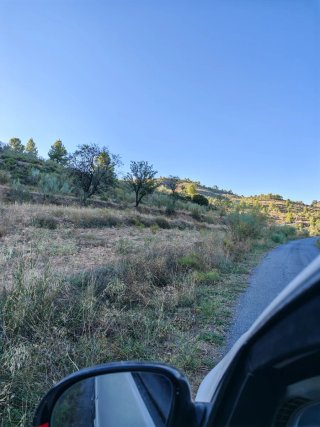 Tereno rustico
