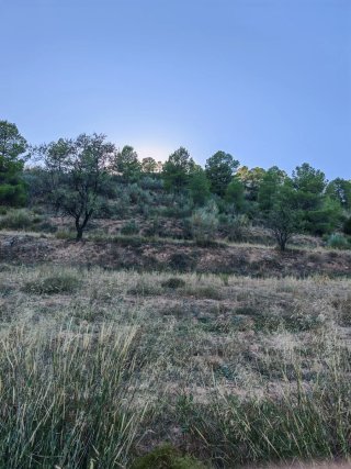 Tereno rustico