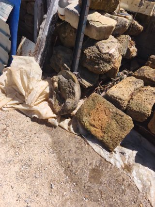 Piedras Ostioneras Naturales