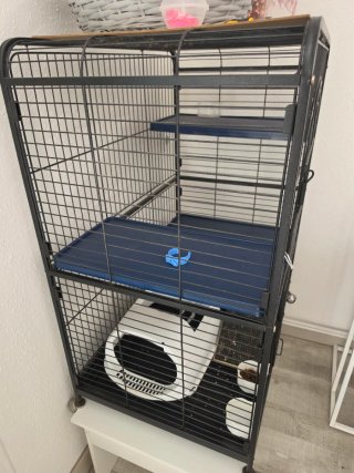 Jaula para mascotas con accesorios
