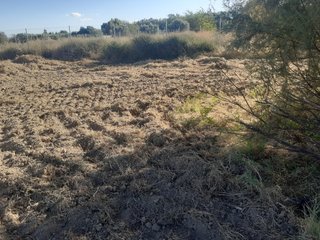 Huerto en Tudela, Navarra