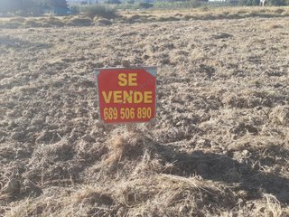 Huerto en Tudela, Navarra