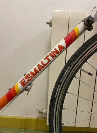 Bicicleta Vintage Talla L + 2 Candados