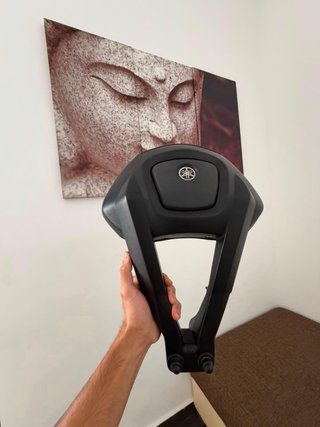 Respaldo Xmax 250