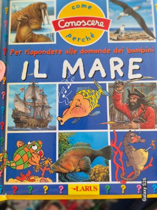 Libri bambino