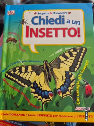 Libri bambino