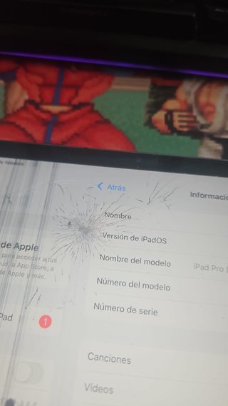 iPad Pro 11 2ª Gen 256GB Cellular Rota