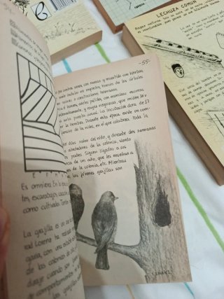 Lote 6 libros - Penthalon