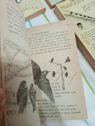 Lote 6 libros - Penthalon