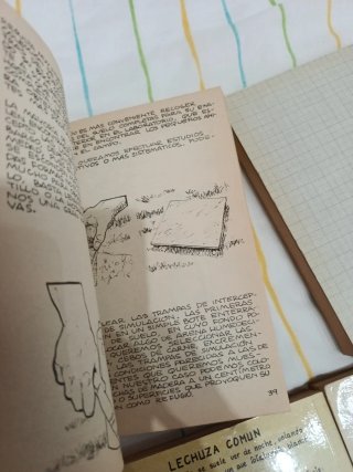 Lote 6 libros - Penthalon