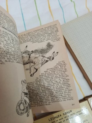 Lote 6 libros - Penthalon