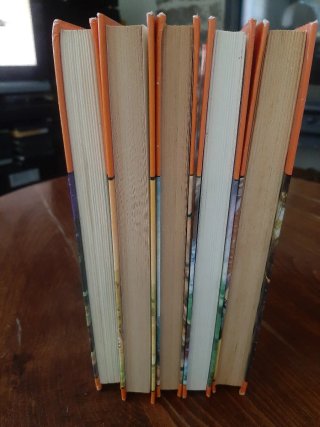 Lote 5 Libros Los Hollister (Ediciones Toray)