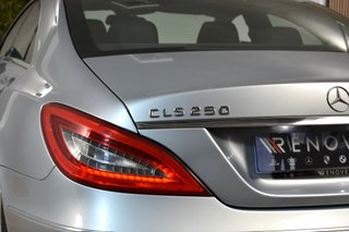 Mercedes Clase CLS CLS 250 CDI
