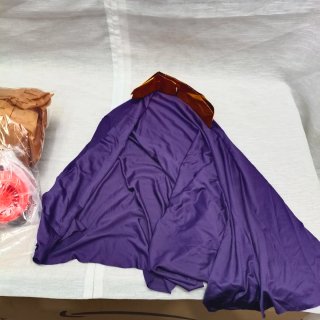 Disfraz Camello Inflable AirSuit Talla Única