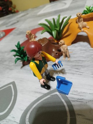 Set Playmobil Suricatas