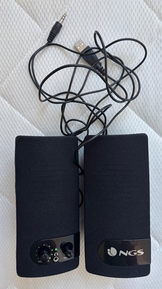 Altavoces NGS Negro