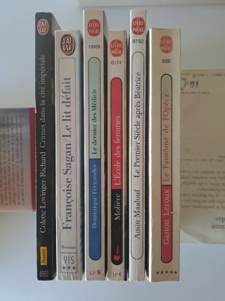 Libros de bolsillo en francés