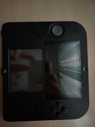 Nintendo 2DS con custodia