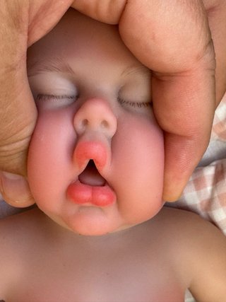 Bambole gemelle Reborn in silicone