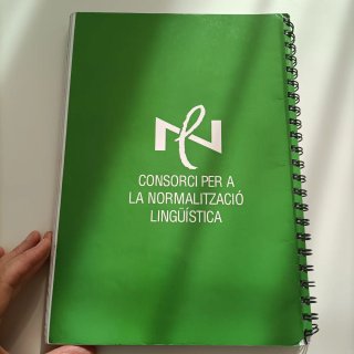 Curso de català Bàsic 1