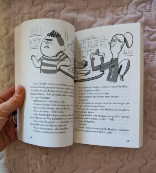Libro: Hay un chico en el baño de las chicas