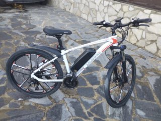 Bicicleta eléctrica