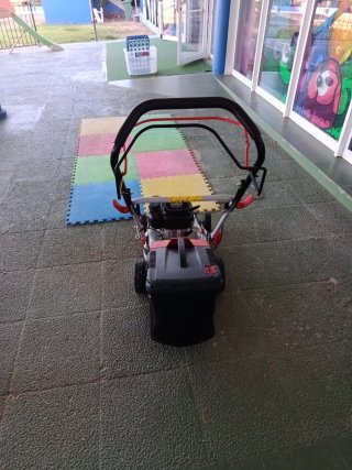 Cortacésped de gasolina Sterwins