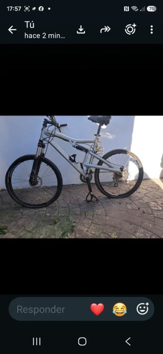 Bicicleta eléctrica y otra de montaña
