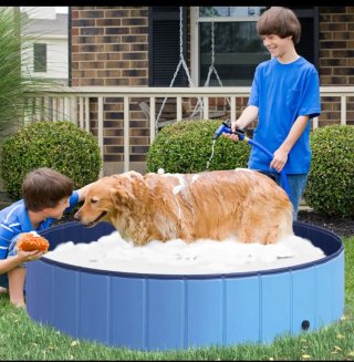 Piscina Bañera para Mascotas Plegable