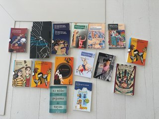 Gran lote de libros juveniles y de lectura escolar