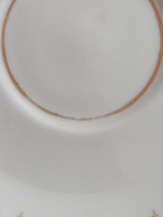 2 Platos Limoges Porcelana