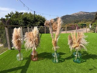 4 Damajuanas con Pampa para Bodas y eventos