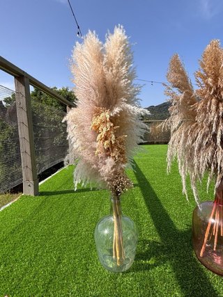 4 Damajuanas con Pampa para Bodas y eventos