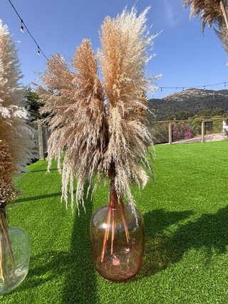 4 Damajuanas con Pampa para Bodas y eventos